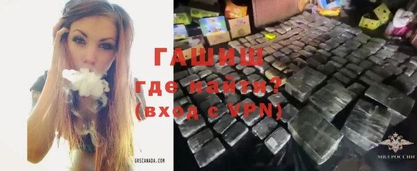 тгк Гусев