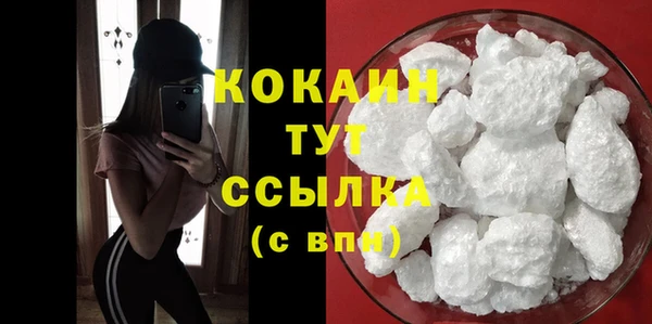 тгк Гусев
