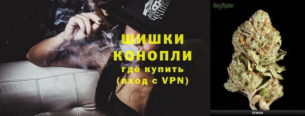тгк Гусев