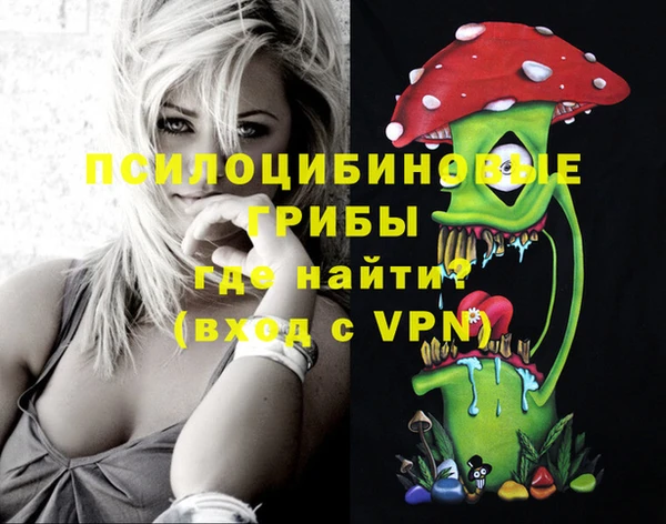 тгк Гусев