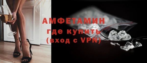 шишки Гусь-Хрустальный