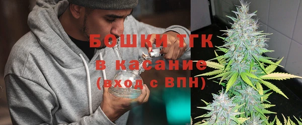 шишки Гусь-Хрустальный
