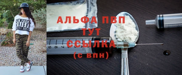 шишки Гусь-Хрустальный