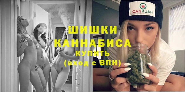 шишки Гусь-Хрустальный