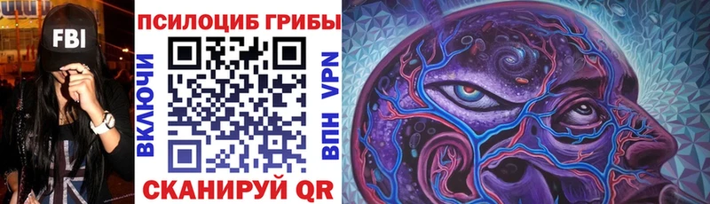 Галлюциногенные грибы Psilocybine cubensis  Купить  Томари 